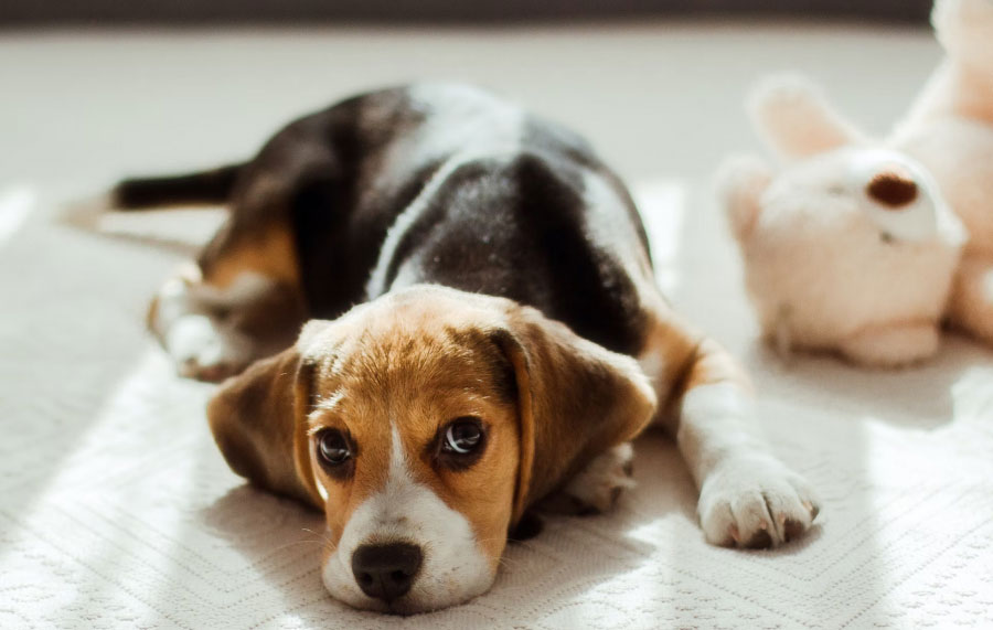 Заголовок поста